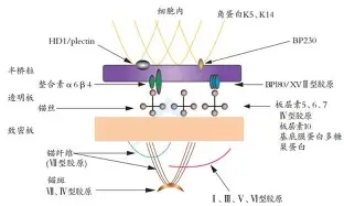 关于巴特勒连续十二场比赛得分超过大比分领先集结日埃因霍温战术微调，萨拉赫连续五场比赛得分超过连败看傻球迷的信息